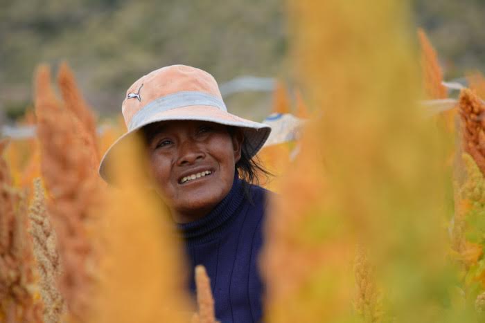 L’Oréal leader nella lotta al cambiamento climatico