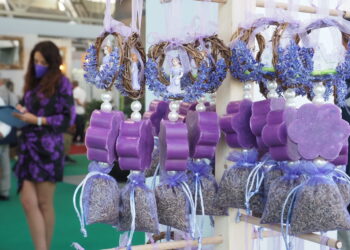 Beauty green, il valore dei consumi vale oltre 2,5 miliardi
