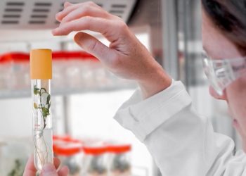 Croda accelera sul beauty e acquisisce la coreana Solus Biotech