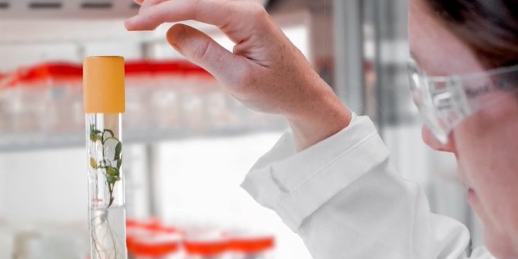 Croda accelera sul beauty e acquisisce la coreana Solus Biotech