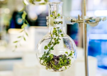 L’Oréal investe in Geno per sviluppare ingredienti sostenibili