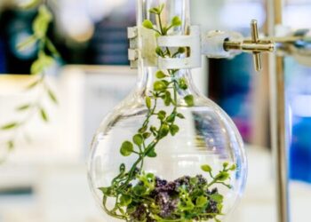 L’Oréal investe in biotecnologia con una quota nell’americana Debut