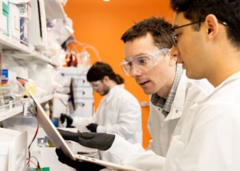 L’Oréal diventa partner dell’Università di Berkeley nella biotech
