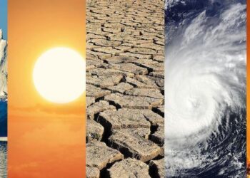 L’Oréal lancia il ‘Climate Emergency Fund’ da 15 milioni di euro