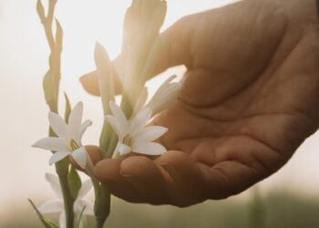 L’Oréal con Cosmo per la tecnologia di estrazione sostenibile ‘air only’