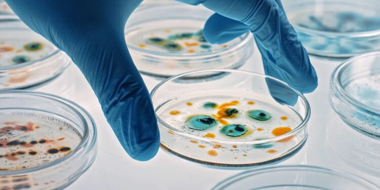 L’Oréal si compra Lactobio per “rafforzare” la ricerca sul microbioma
