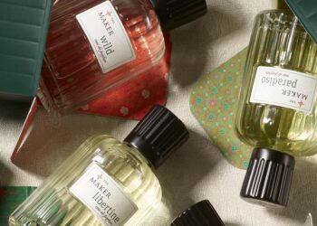 The Maker, il marchio dei fondatori di Fresh, attira il primo investitore