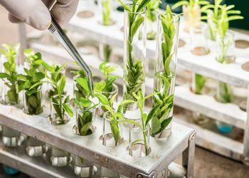 Groupe Berkem acquisisce la francese Laboratoires Eriger
