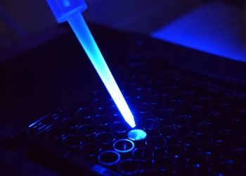 Mane acquisisce la biotech belga ChemoSensoryx Biosciences