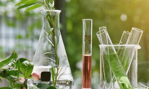 Solabia acquisisce la svizzera Mibelle Biochemistry dal gruppo Persán